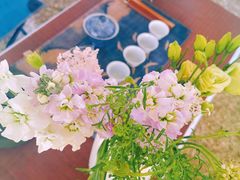 -天津东丽湖风景区