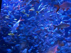 -成都浩海立方海洋公园