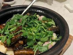 -上海宝华喜来登酒店·采悦轩中餐厅