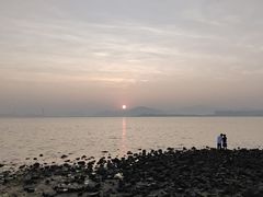 -深圳湾公园(南山区)