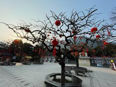 -华清宫景区