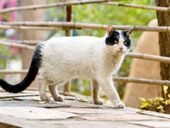 -香木香羊(小汤山店)