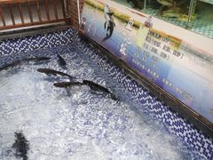 -醉湘厨艺(才华街店)