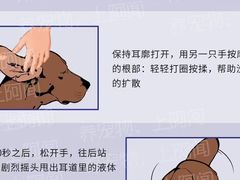 -艾贝尔宠物诊疗