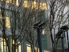 -首都医科大学附属北京地坛医院