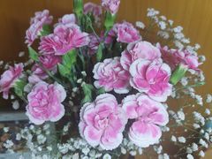 -金陵花卉交易市场