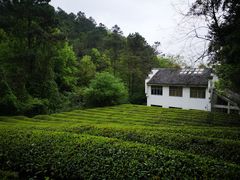 -敬亭山风景名胜区