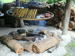 -阿里山邹族烤肉团队(山猪亮)