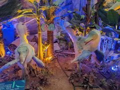 -西峡恐龙遗迹园