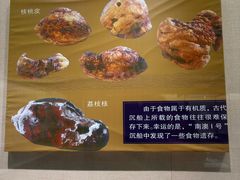 -汕头市博物馆