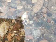 -白河湾生态旅游一条川