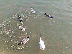 -迎泽公园
