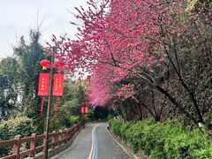 -杭州半山国家森林公园