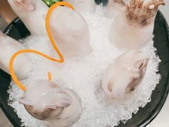 -王家渡火锅(三苏祠店)
