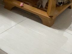 -家琳甜品(江南东店)