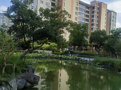 -梧桐人家中国太平国际健康颐养社区