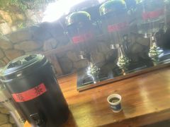 -将军关探险漂流