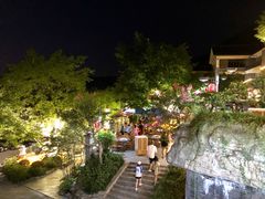 -老幺泉水鸡