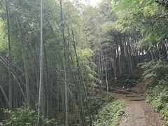 -西湖风景区十里琅珰-五云山