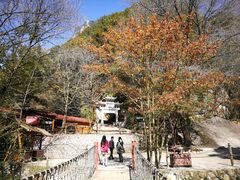 -陕西省红河谷森林公园