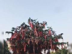 -芜湖方特东方神画