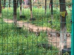 -草根堂农场