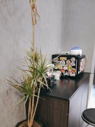 -老肖男士理发店