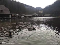 -柯尼希湖