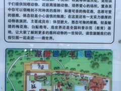 -北京鹿世界主题园