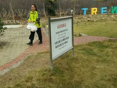 -天适樱花悠乐园