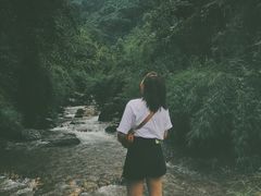 -龙窝子
