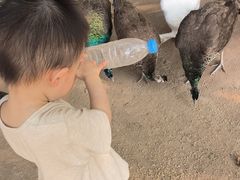 -上海怡沁园度假酒店