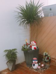 -Y-STUDIO原理