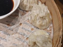 -老阿妈蒙古村·蒙古包·草原文化·歌舞表演(老君堂店)
