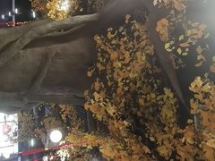 -松针蔡记蒸饺(花园路店)