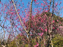 -狼山风景名胜区
