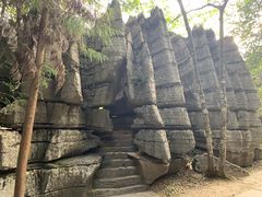 -梭布垭石林景区