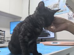 -达爱动物医院·犬猫分区·CT·复杂眼科(远洋山水分院)