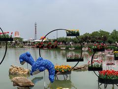-荷兰花海