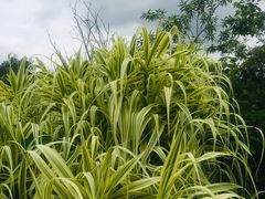 -白鹭湾湿地公园