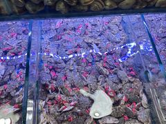 -海韵之星邮轮水会(明发商业广场店)