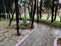 -嘉定紫藤园