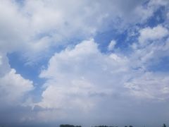 -枸杞岛
