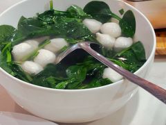 -丁老爷子苏香圆