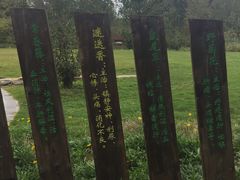 -溱湖国家湿地公园