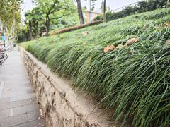 -浙江大学(玉泉校区)