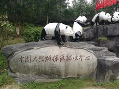 -都江堰中华大熊猫苑