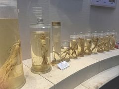 -广东中医药博物馆