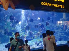 -郑州海洋馆