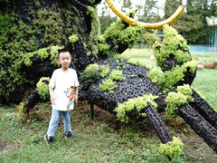 -东平国家森林公园